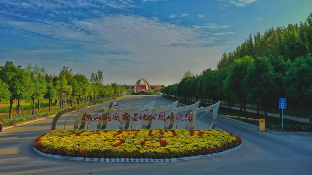“云游”多彩濕地：濟(jì)寧微山湖濕地帶您領(lǐng)悟獨(dú)特的濕地之美！