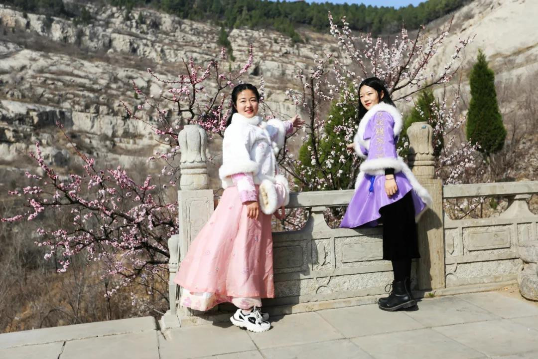杏花迎春開，來梁山赴一場(chǎng)花香盛宴